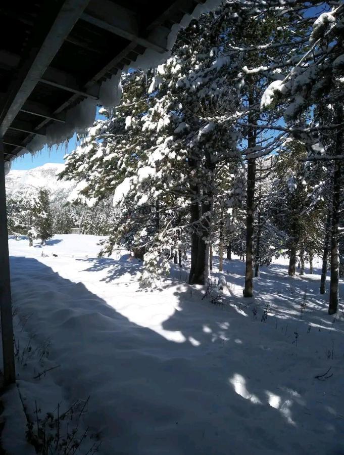 Apartamento En El Pirineo Catalan Sant Jordi de Cercs Buitenkant foto
