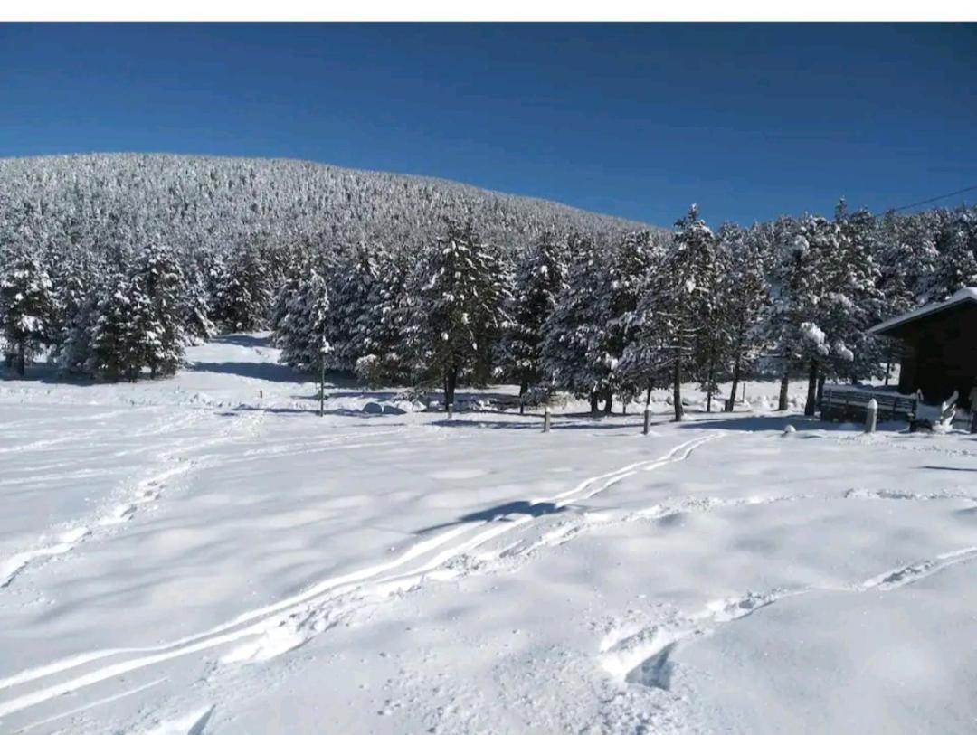 Apartamento En El Pirineo Catalan Sant Jordi de Cercs Buitenkant foto
